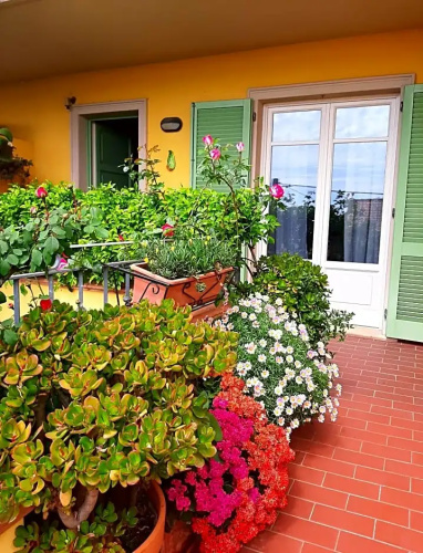 Casa Marta