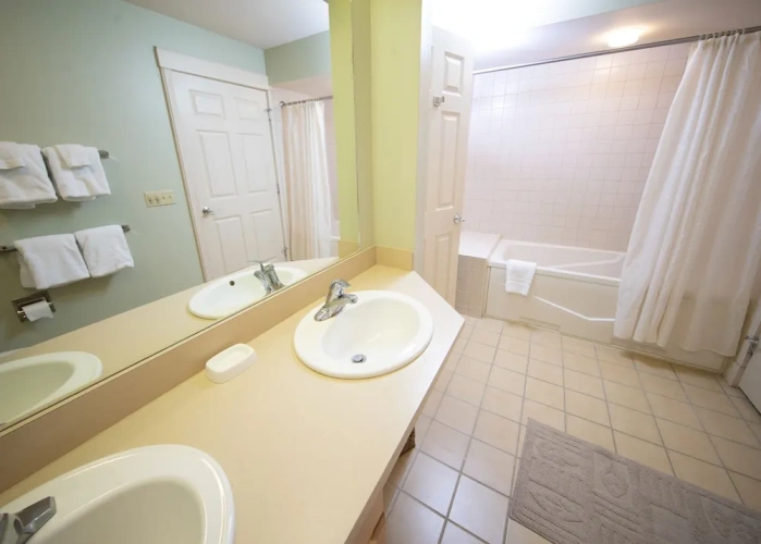 1 Bedroom Standard Penthouse room