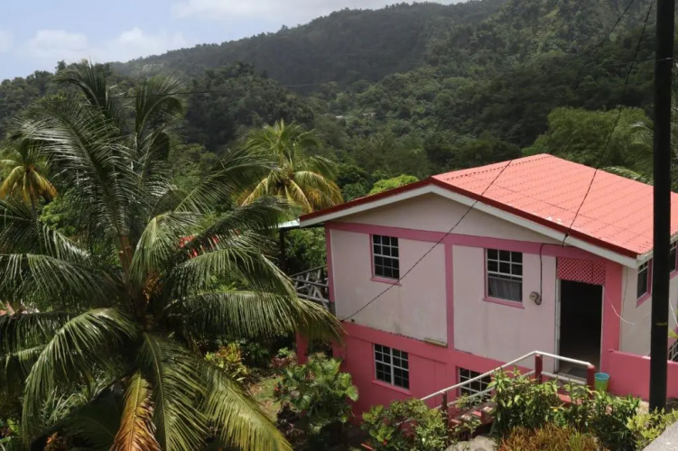 Anthurium Apartment