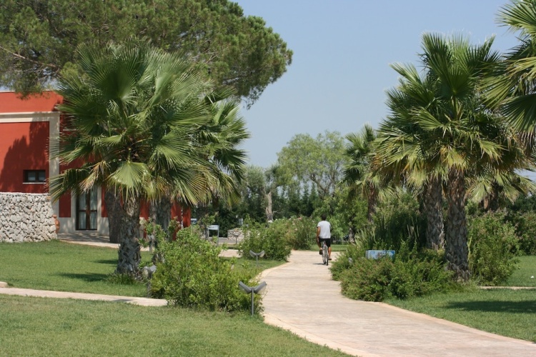 Petraria Hotel & Resort photo 19