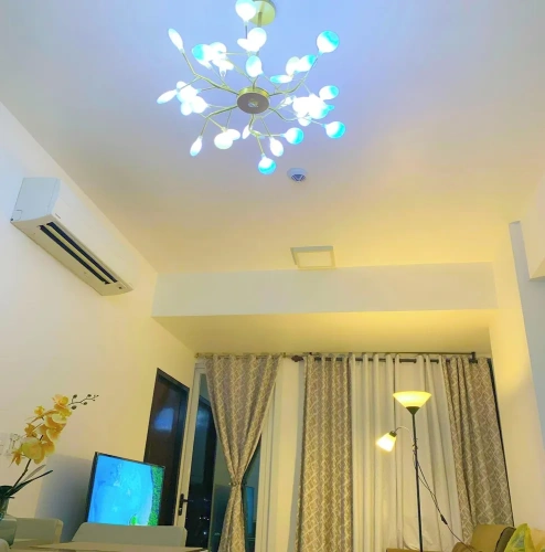 1 Bedroom Standard room with balcony and with ocean view