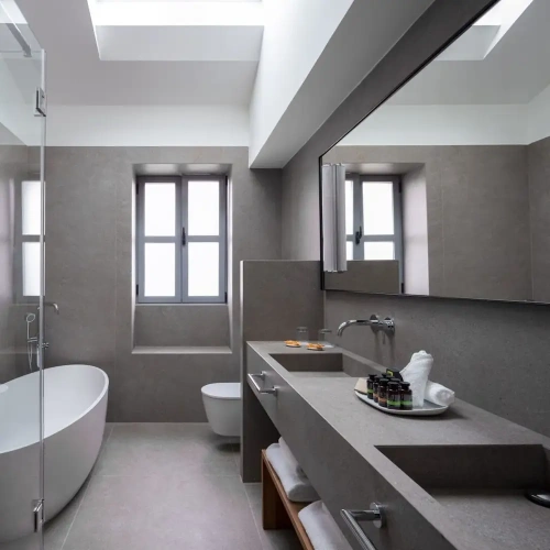 Premium Penthouse room