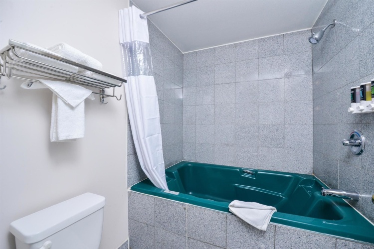 Canadas Best Value Inn Valemount photo 10