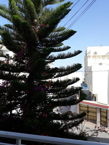 Superbe Appartement bord de mer