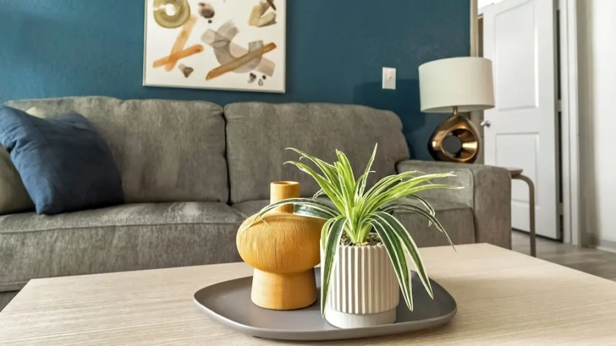 2 Bedrooms Apartment