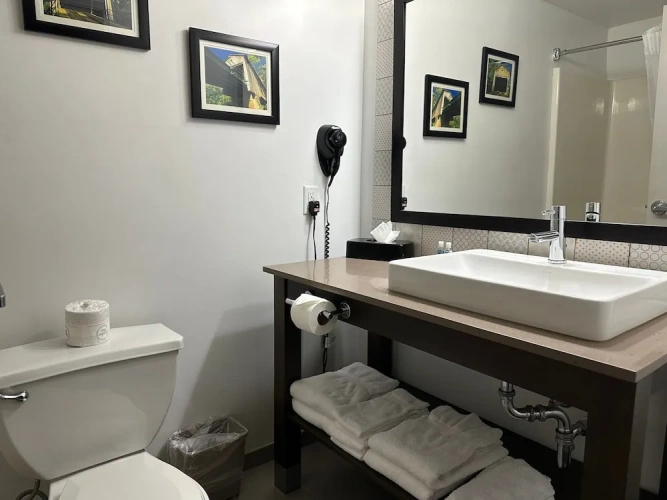 Business Double room