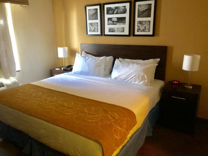 Standard Double room