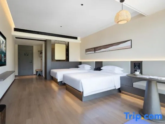 Standard Double room with city view