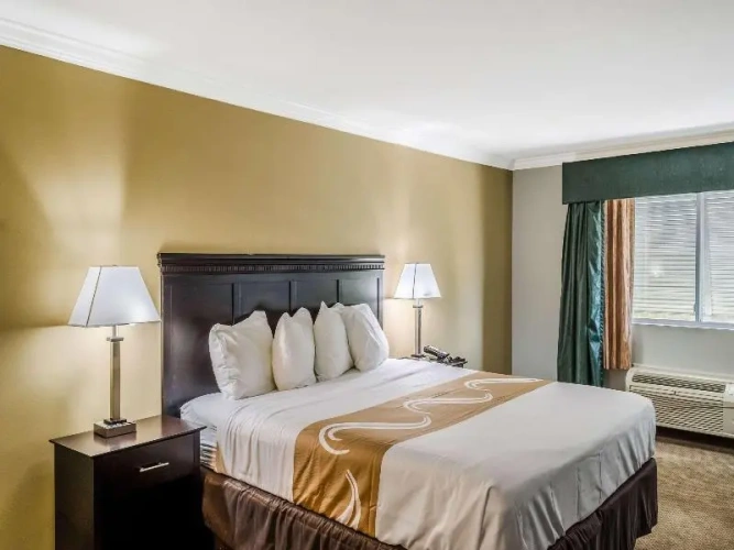 Standard Suite