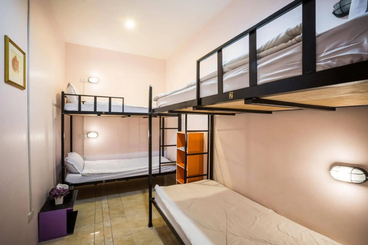 Orchid Hostel