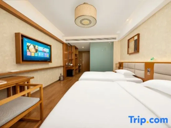 Economy Twin room