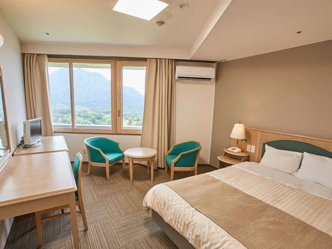 Standard Double room with mountain view