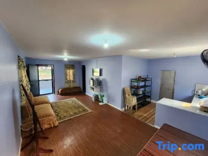 Papa's Rental House