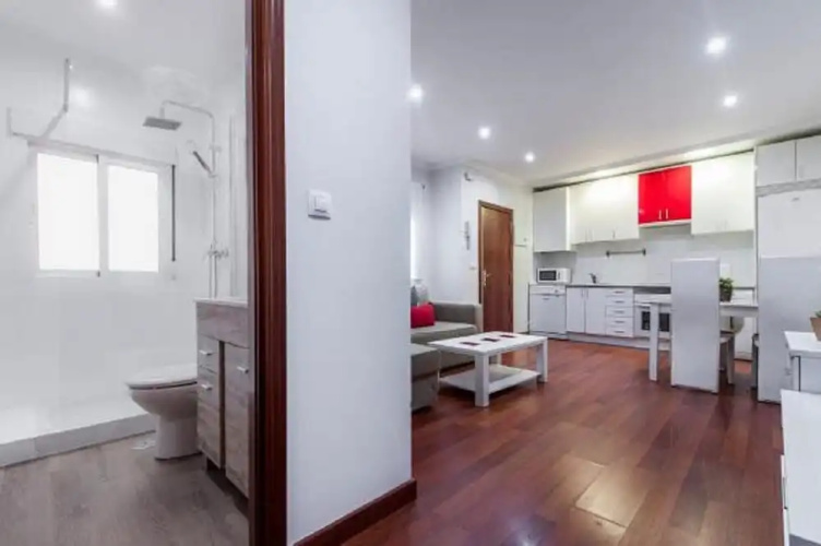 Apartamento Plaza Castilla