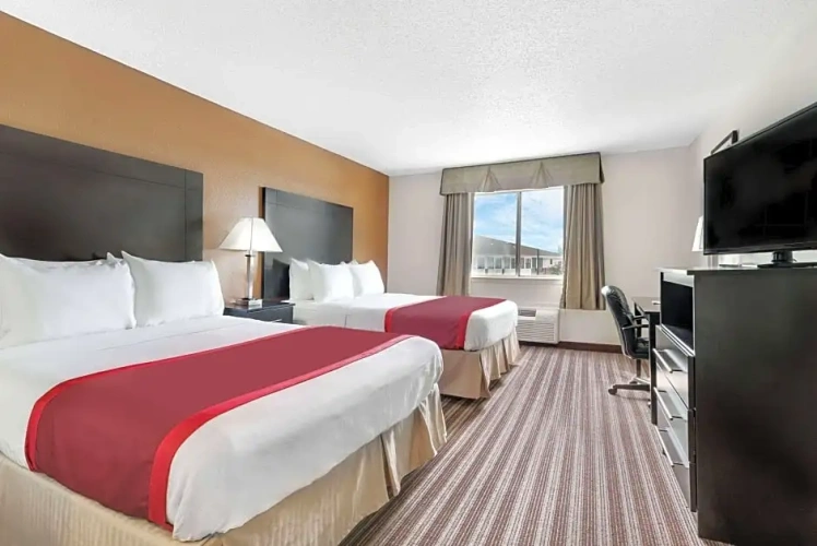1 Bedroom Quadruple Suite