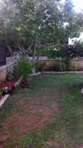 Apartments Lavanda