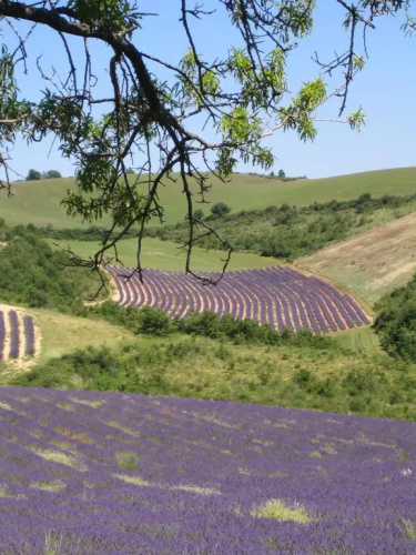 Les Vieux Murs
