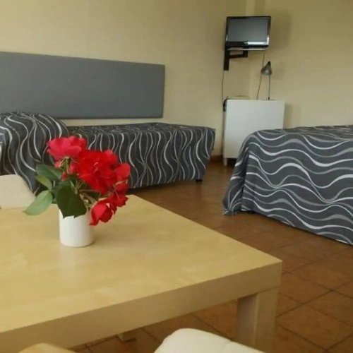 Studio with balcony and with garden view