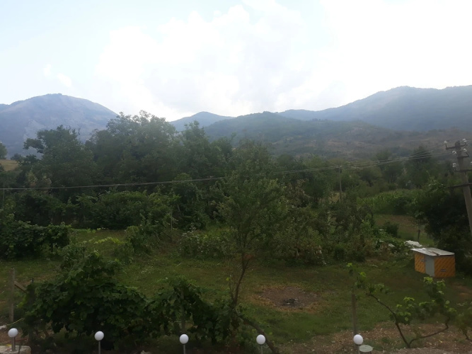 Vila Disha