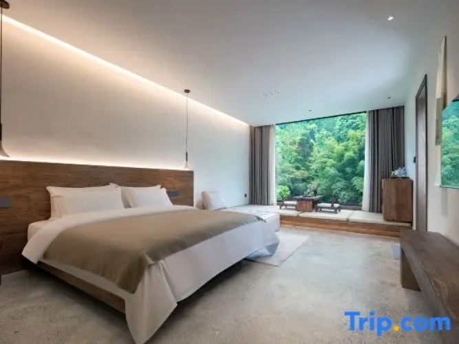 Standard Double room with mountain view