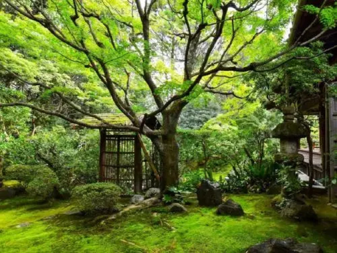Machiya Kushige