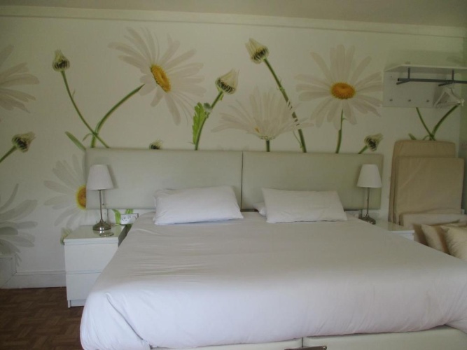 Deluxe Double room with garden view