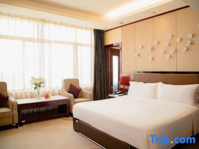 Standard Double room with city view