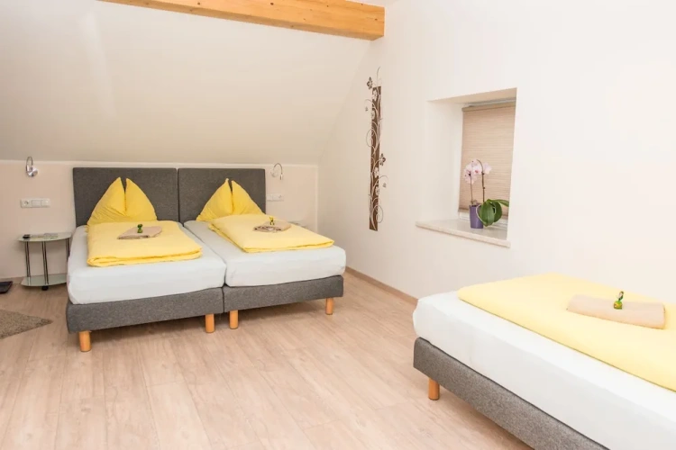 Standard Triple Family room