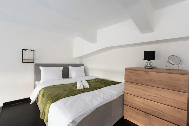1 Bedroom Classic Apartment with city view