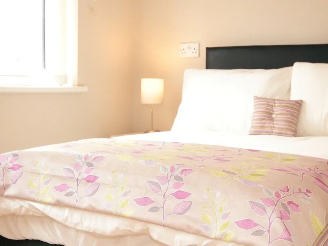 The Otton Suite