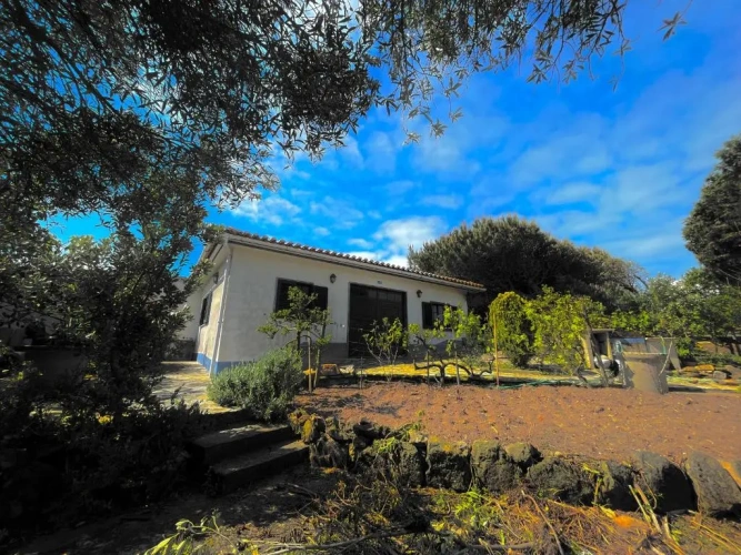 Bungalow
