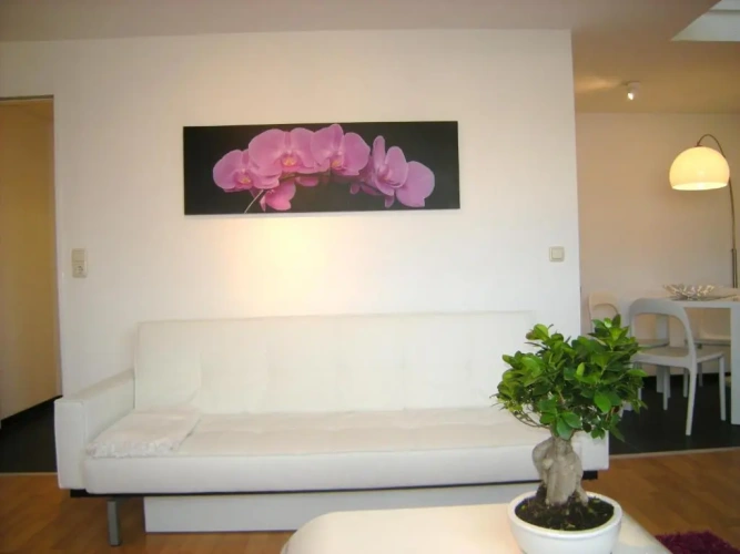 Comfort Apartment