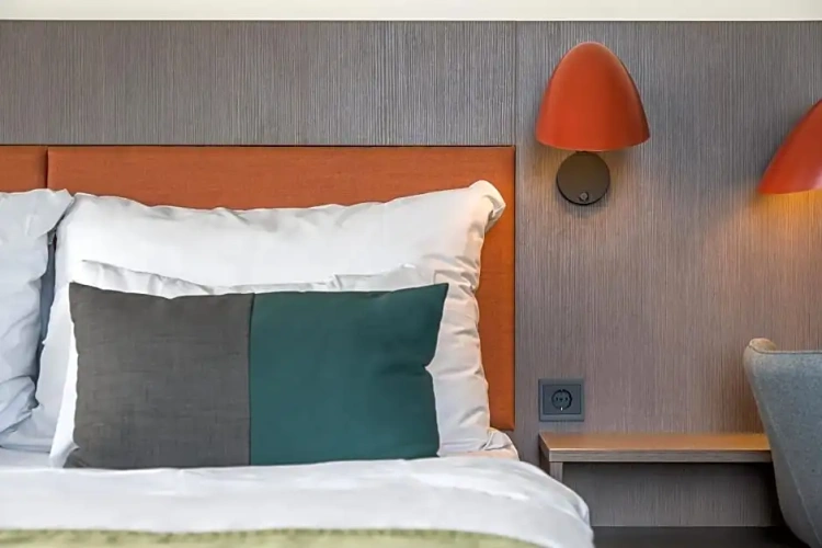 Deluxe Single room