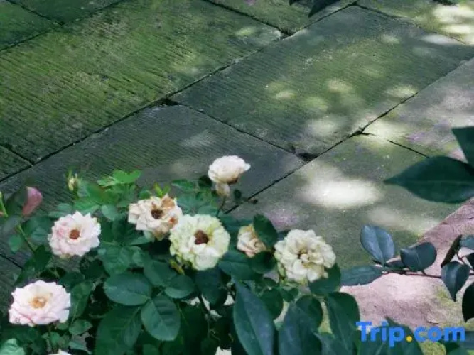 Yilu Homestay