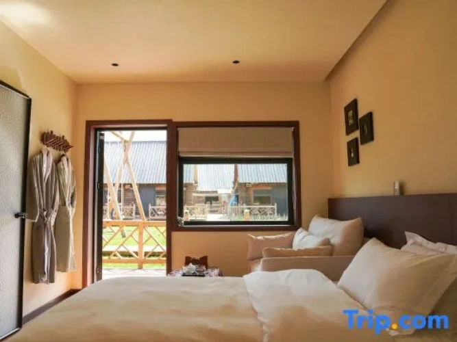 Standard Double room with mountain view
