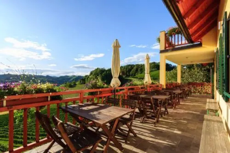 Farm Stay Jarc Vineyard