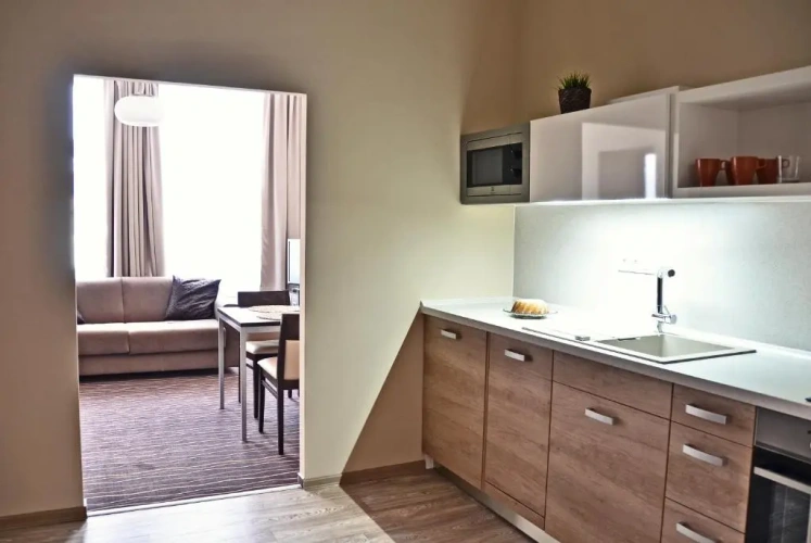 1 Bedroom Suite with view