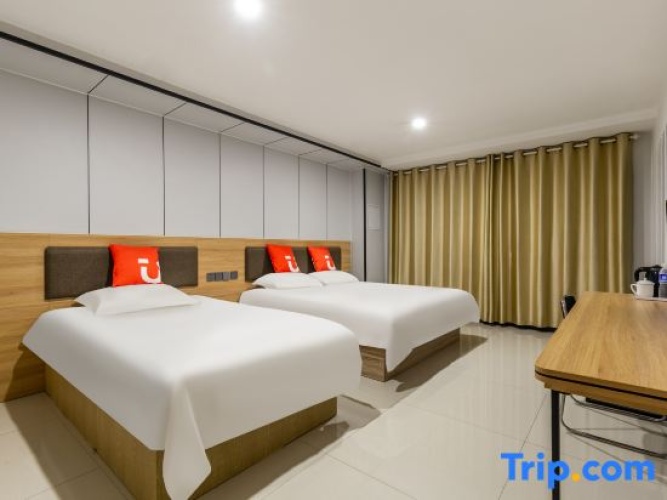 Single Suite