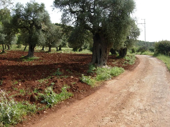 Ajloun Hotel