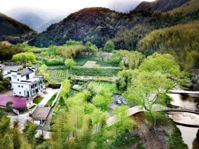 Village Life