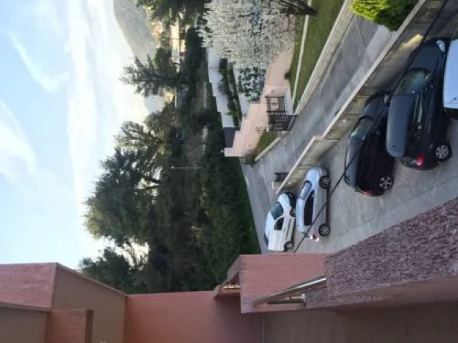 Apartment Iva