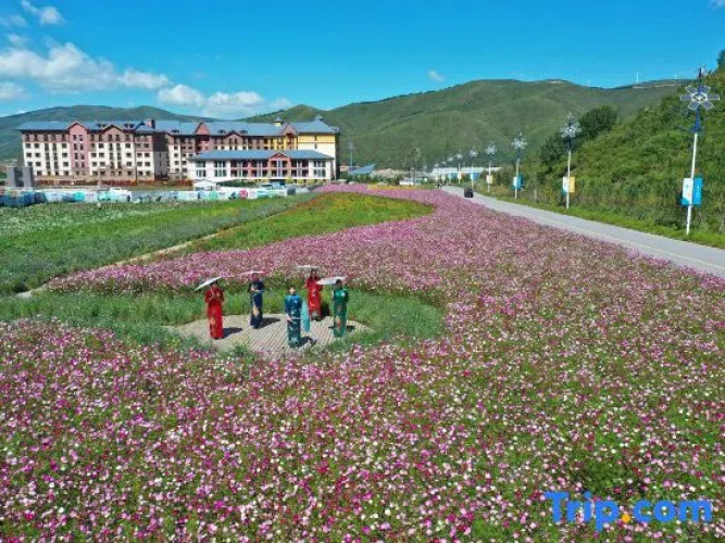 Yingchao  Hostel