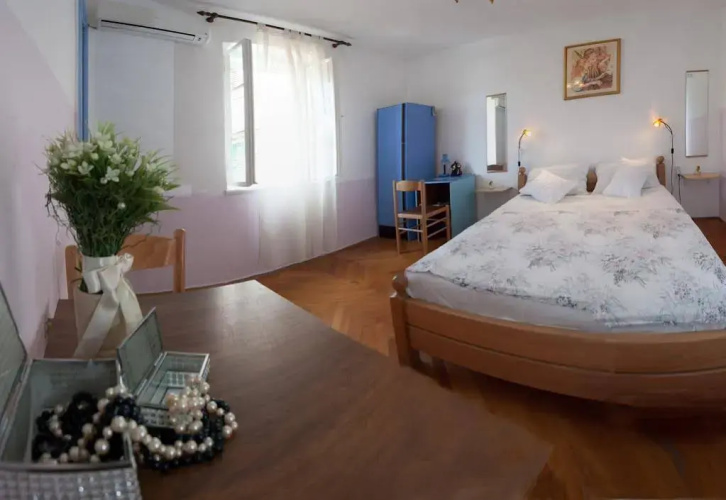 Dalmatian House