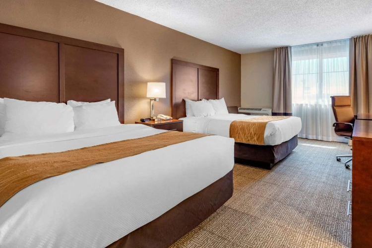 Standard Quadruple room