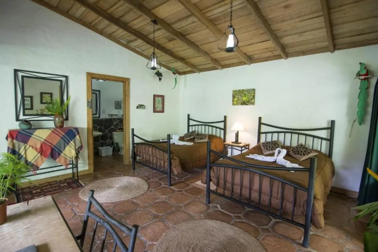 Standard Twin room with mountain view