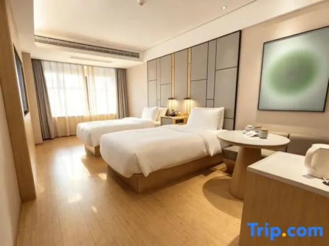 Standard Twin room with city view