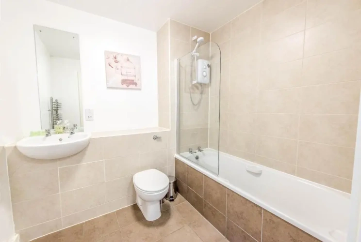 1 Bedroom Apartment