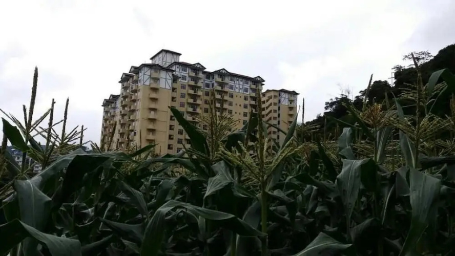 Aaron Apartment at Crown Imperial
