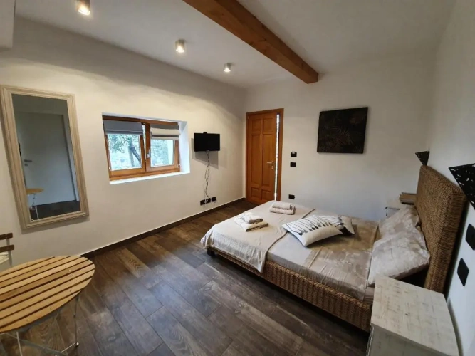 Standard Double room with lake view
