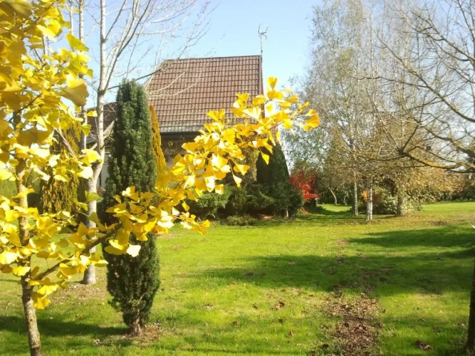 Chalet